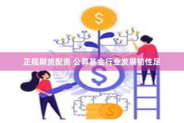 正规期货配资 公募基金行业发展韧性足