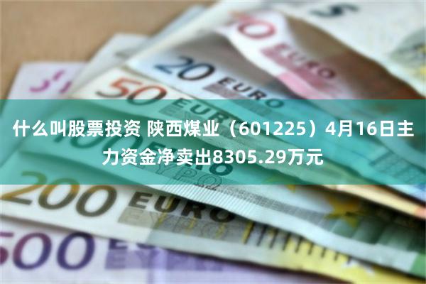 什么叫股票投资 陕西煤业（601225）4月16日主力资金净卖出8305.29万元