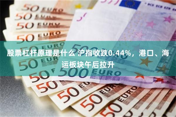 股票杠杆原理是什么 沪指收跌0.44%，港口、海运板块午后拉升