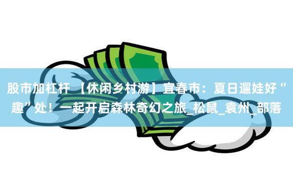 股市加杠杆 【休闲乡村游】宜春市：夏日遛娃好“趣”处！一起开启森林奇幻之旅_松鼠_袁州_部落