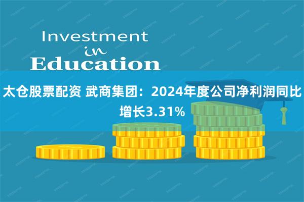 太仓股票配资 武商集团：2024年度公司净利润同比增长3.31%
