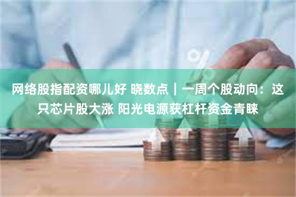 网络股指配资哪儿好 晓数点｜一周个股动向：这只芯片股大涨 阳光电源获杠杆资金青睐